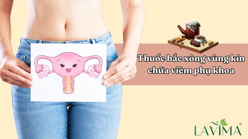 Thuốc Bắc Hay Thuốc Nam Trị Phụ Khoa Tốt Hơn? Chuyên Gia Giải Đáp