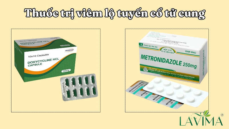 Thuốc Trị Viêm Lộ Tuyến Cổ Tử Cung Hoàng Thông: Giải Pháp Hỗ Trợ Điều Trị Hiệu Quả