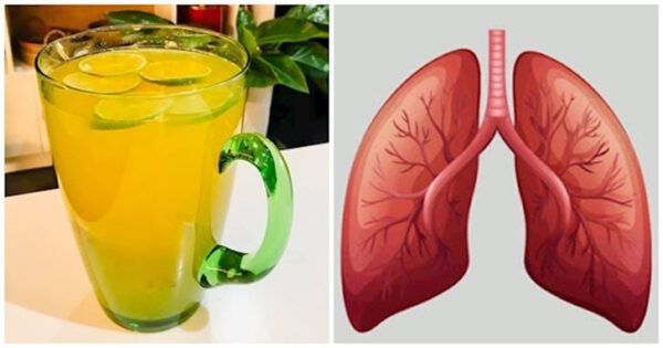 Tổng hợp các loại nước uống tốt cho phổi