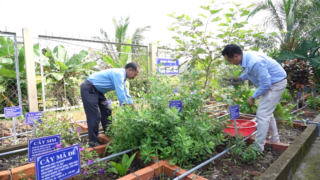 Nhóm Cây Thuốc Nam Cây Làm Rau Cây Ăn Quả: Khám Phá Lợi Ích Kép Cho Sức Khỏe