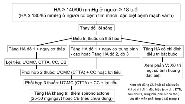 Phối Hợp Thuốc Trong Điều Trị Tăng Huyết Áp 2018: Hướng Dẫn Toàn Diện Phối Hợp Thuốc Trong Điều Trị Tăng Huyết Áp 2018: Hướng Dẫn Toàn Diện