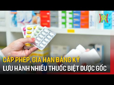 Công ty Dược tại Việt Nam Tuyển Đăng Ký Thuốc: Cơ Hội và Yêu Cầu