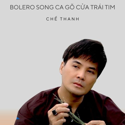 Thanh Song Cửa: Phân Tích Chuyên Sâu Về Cấu Tạo và Công Dụng