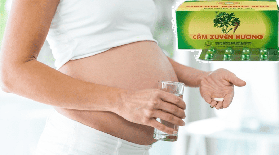Thuốc Cảm Xuyên Hương Có Dùng Được Cho Bà Bầu: Thông Tin Cần Biết