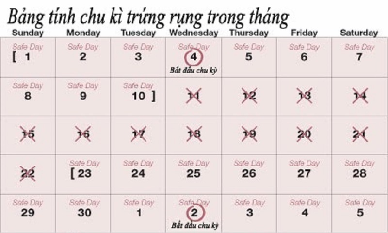 Nhanh Có Thai: Những Bài Thuốc Dân Gian Kỳ Diệu & Lời Khuyên Khoa Học
