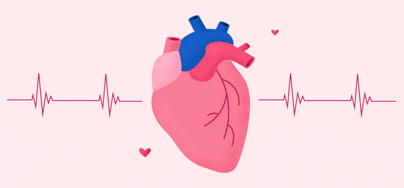 Thuốc và Cách Ăn Uống Cho Người Chậm Nhịp Tim Hiệu Quả Thuốc và Cách Ăn Uống Cho Người Chậm Nhịp Tim Hiệu Quả