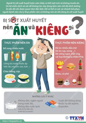 Hình ảnh tổng hợp các loại trái cây giàu vitamin C và khoáng chất cần thiết cho người bệnh sốt xuất huyết, bao gồm cam, bưởi, kiwi.