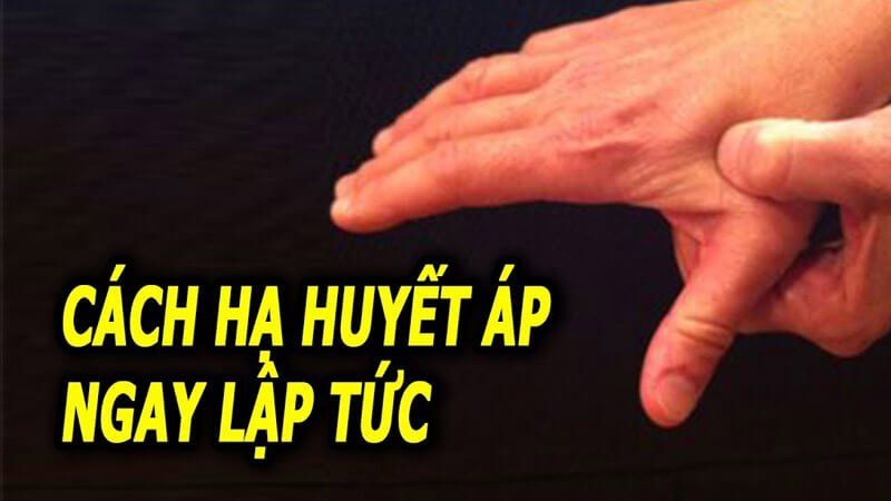 Cách Hạ Huyết Áp Khẩn Cấp Tại Nhà An Toàn và Hiệu Quả Cách Hạ Huyết Áp Khẩn Cấp Tại Nhà An Toàn và Hiệu Quả