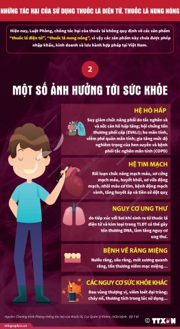 Tác Hại Của Thuốc Lá Đến Hệ Hô Hấp: Bệnh Lý Và Phòng Ngừa Hiệu Quả Tác Hại Của Thuốc Lá Đến Hệ Hô Hấp: Bệnh Lý Và Phòng Ngừa Hiệu Quả