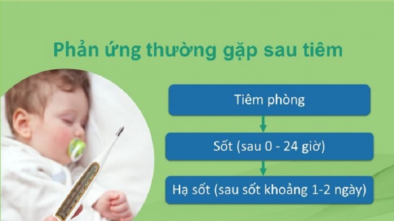 Trẻ Tiêm Phòng Sốt Bao Nhiêu Độ Thì Uống Thuốc? Hướng Dẫn Chi Tiết