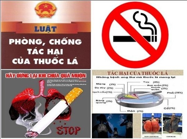 Cuộc họp bàn về kế hoạch tuyên truyền phòng chống tác hại thuốc lá và rượu bia, tập trung vào chiến lược y tế cộng đồng