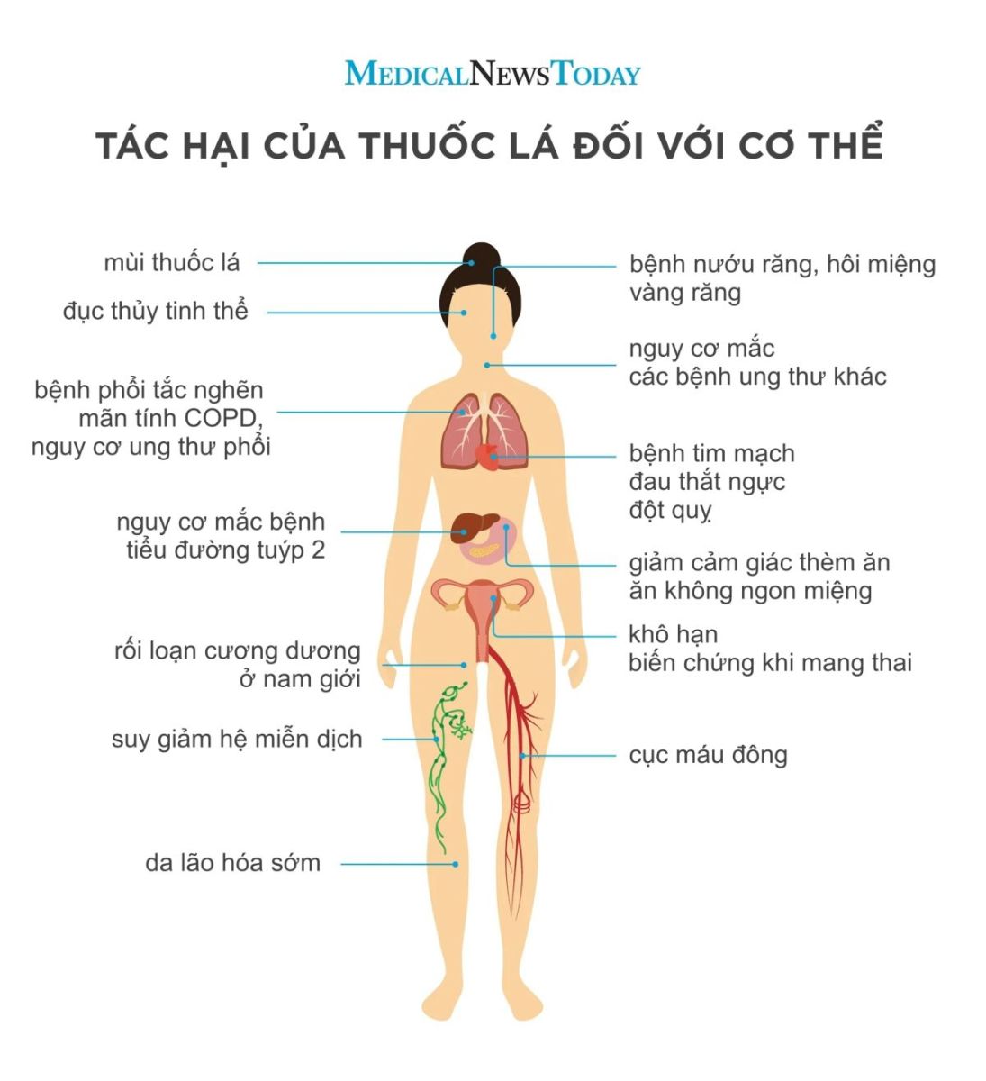 Kế hoạch phòng chống tác hại thuốc lá tỉnh BRVT toàn diện