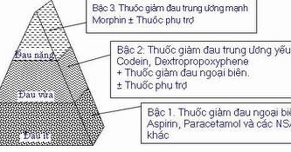 Các Bậc Của Thuốc Giảm Đau Bậc 1, 2, 3: Phân Loại và Ứng Dụng