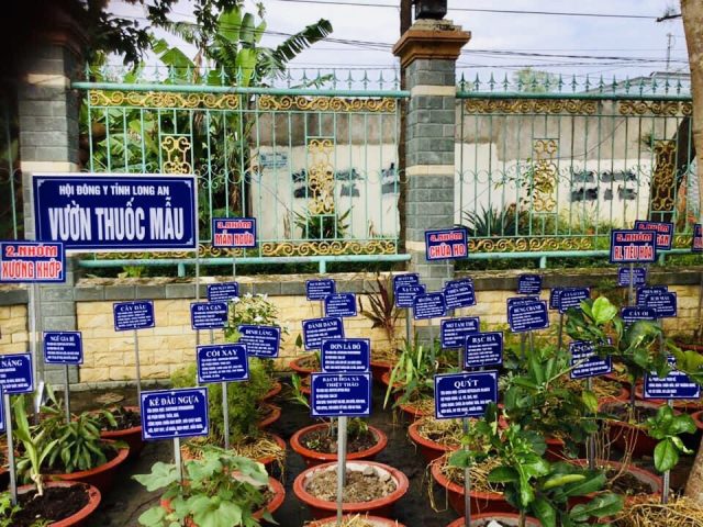 Danh Mục Cây Thuốc Nam Được Bộ Y Tế Công Nhận & Ứng Dụng Danh Mục Cây Thuốc Nam Được Bộ Y Tế Công Nhận & Ứng Dụng