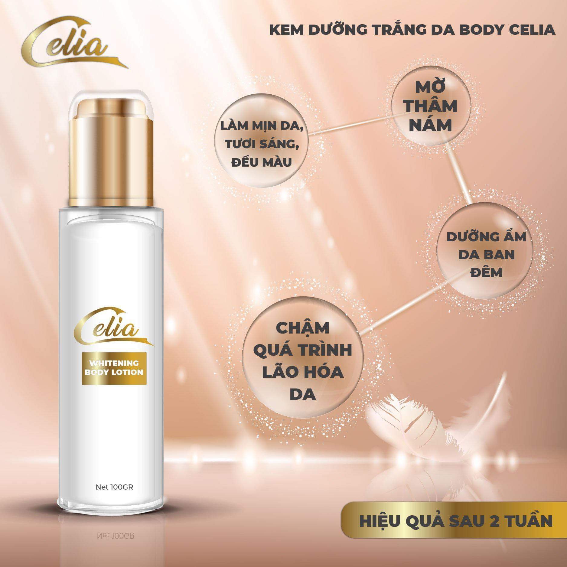 Celia Kem: Giải pháp dưỡng da toàn diện từ thành phần đến công dụng