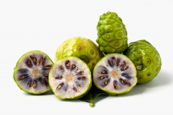 Tổng Quan Các Bộ Phận Trái Nhàu Dùng & Không Dùng Làm Thuốc