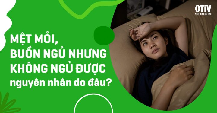 Không Ngủ Được Phải Làm Sao: Giải Pháp Toàn Diện Cho Giấc Ngủ Trọn Vẹn