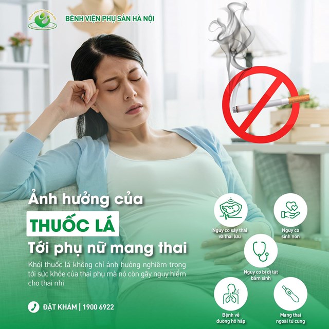 Thuốc lá ảnh hưởng đến thai nhi như thế nào: Nguy cơ và Hậu quả khôn lường