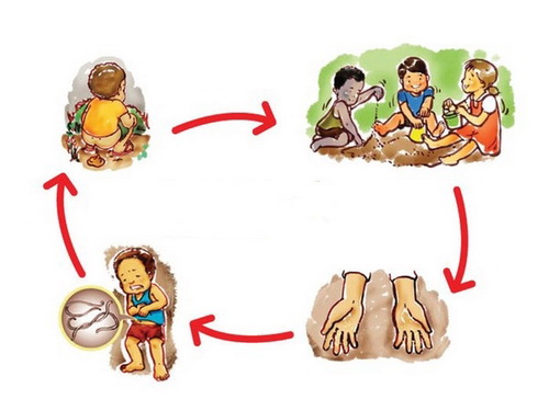 Người lớn đang uống một viên thuốc tẩy giun