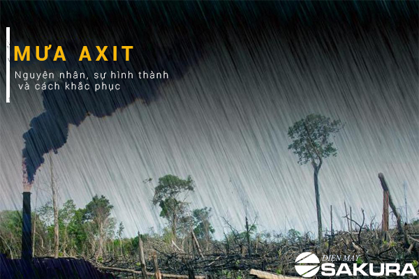 Mưa Axit Là Gì? Nguyên Nhân, Tác Hại Và Giải Pháp Hạn Chế