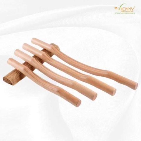 Cây Cạo Gió: Phương Pháp Chữa Bệnh Dân Gian Hiệu Quả và Khoa Học