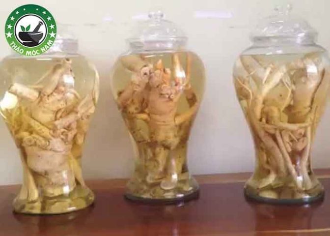 Thuốc Ngâm Rượu Trị Đau Lưng: Khám Phá Bài Thuốc Đông Y Hiệu Quả Thuốc Ngâm Rượu Trị Đau Lưng: Khám Phá Bài Thuốc Đông Y Hiệu Quả