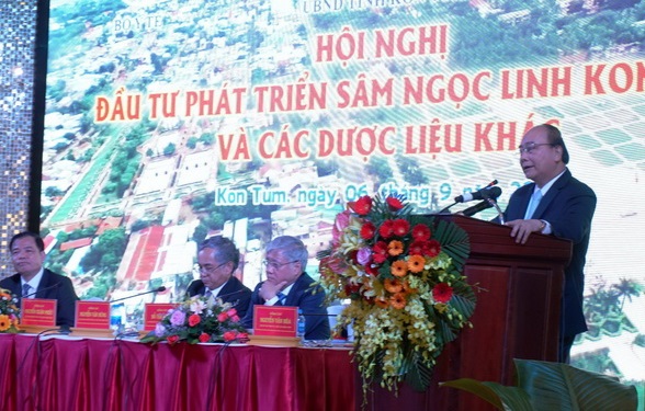 Sâm Hàn Quốc Chính Phủ Bảo Lãnh: Giá Trị và Các Loại Thường Gặp