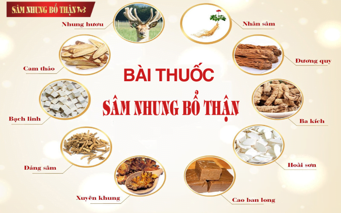 Tìm Hiểu Bài Thuốc Chữa Thận Của Chị Dung Ở Bình Định: Góc Nhìn Chuyên Gia Và Lời Khuyên