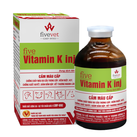 Cơ Chế Hoạt Động Của Thuốc Kháng Vitamin K Trong Đông Máu Cơ Chế Hoạt Động Của Thuốc Kháng Vitamin K Trong Đông Máu