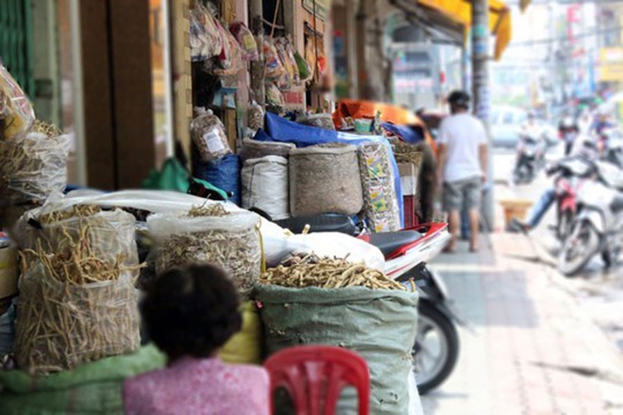 Phát triển thị trường thuốc Đông y: Chiến lược và tiềm năng bền vững