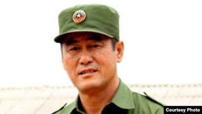 Thống Kê Số Liệu Cây Thuốc Nam Ở Phía Bắc: Tiềm Năng Và Thực Trạng