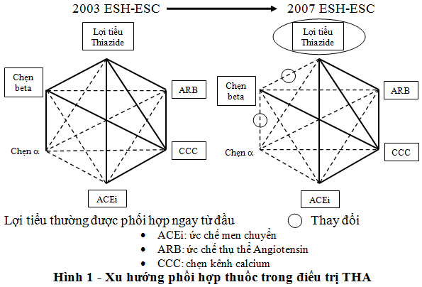 Thuốc Hạ Huyết Áp Uống Phối Hợp Trên Thị Trường: Lựa Chọn Hiệu Quả Cho Kiểm Soát Huyết Áp