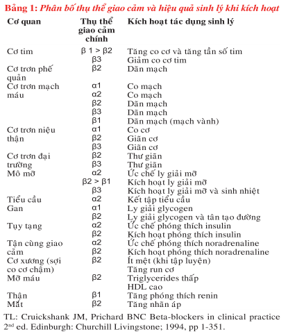 Cơ Chế Tác Dụng Thuốc Kích Thích Beta 2 Adrenergic Chi Tiết Cơ Chế Tác Dụng Thuốc Kích Thích Beta 2 Adrenergic Chi Tiết