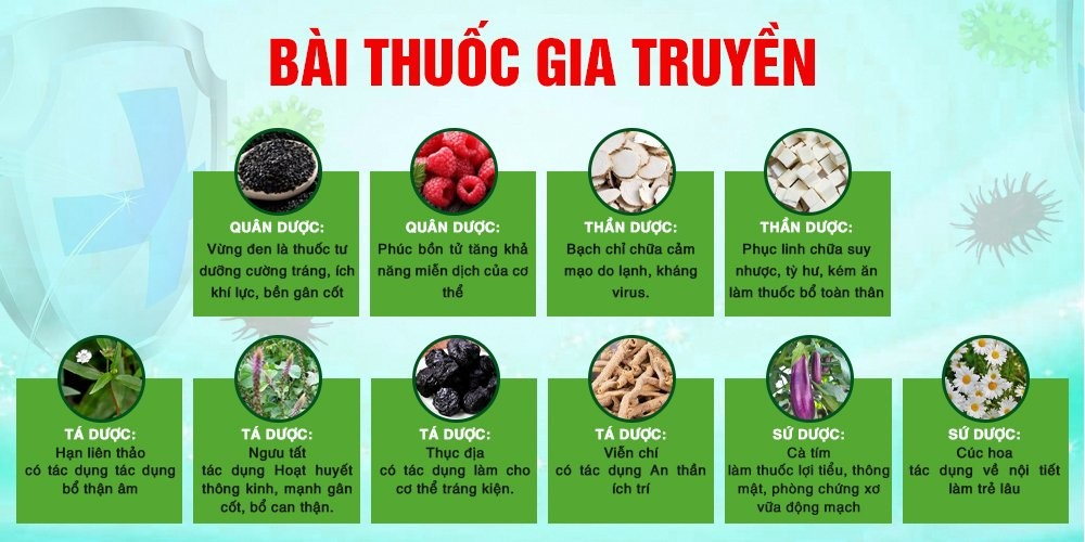 Thuốc Đông Y Tăng Cường Sức Đề Kháng của Cơ Thể Hiệu Quả