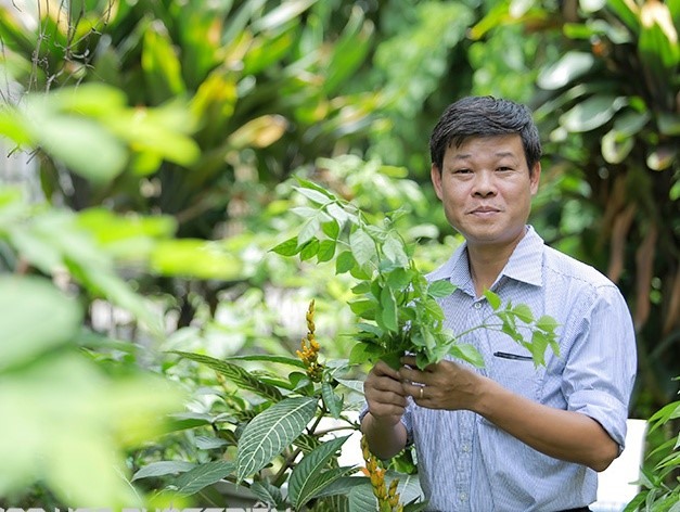 Bài Thuốc Trị Bệnh Tiểu Đường Bằng Dây Thìa Canh Hiệu Quả Và Lưu Ý Quan Trọng Bài Thuốc Trị Bệnh Tiểu Đường Bằng Dây Thìa Canh Hiệu Quả Và Lưu Ý Quan Trọng