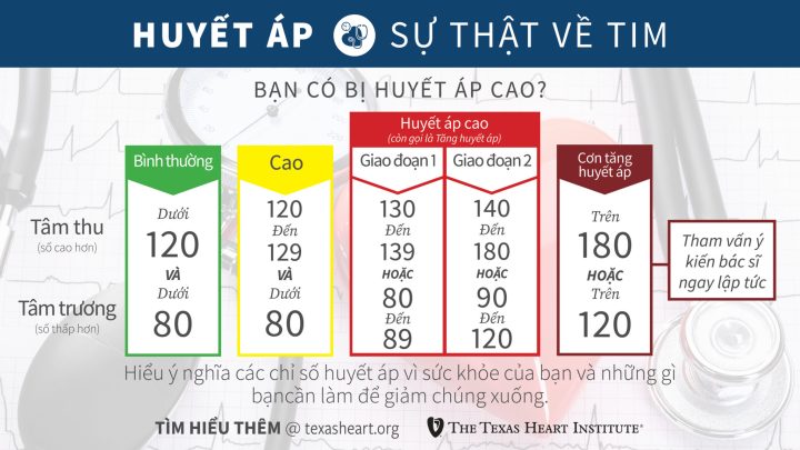 Huyết Áp 95/60: Tìm Hiểu Chi Tiết Về Mức Độ và Ý Nghĩa Sức Khỏe