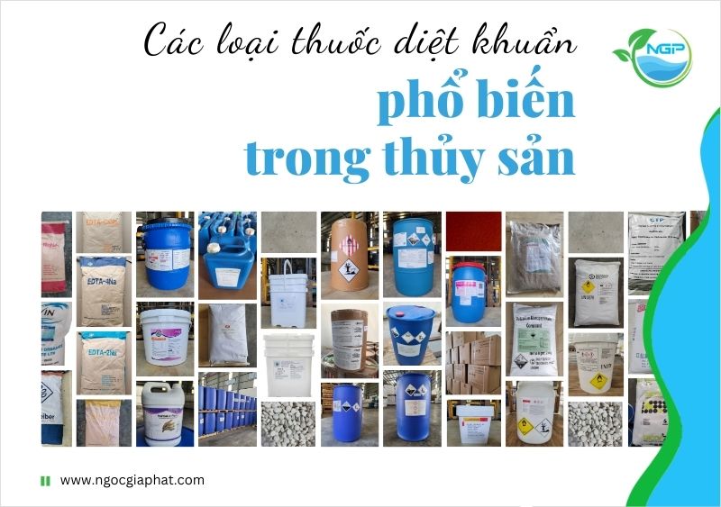 Các Loại Thuốc Khử Trùng Được Cho Phép Sử Dụng Phổ Biến Hiện Nay