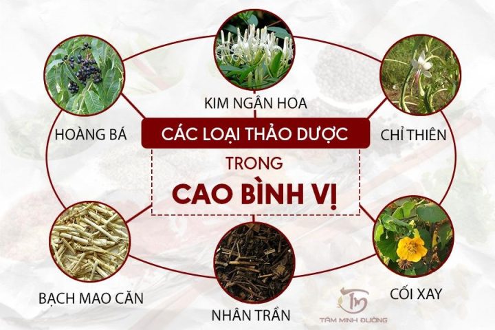 Cao Bình Vị Tâm Minh Đường: Giải Pháp Hỗ Trợ Sức Khỏe Dạ Dày
