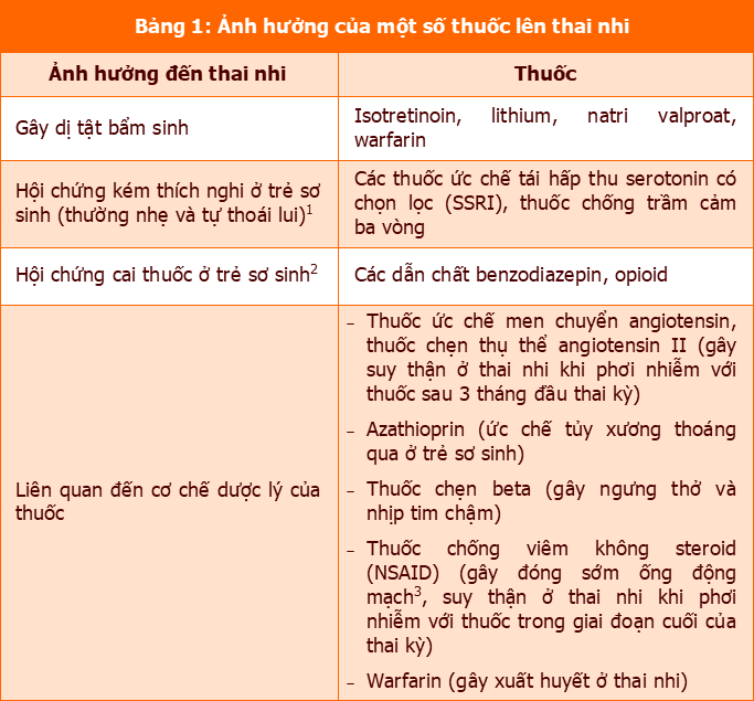 Ảnh Hưởng Của Việc Uống Thuốc Kháng Sinh Đến Khả Năng Thụ Thai