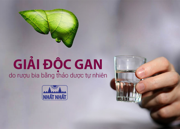Uống Rượu Xong Có Nên Uống Thuốc Giải Độc Gan: Góc Nhìn Y Học