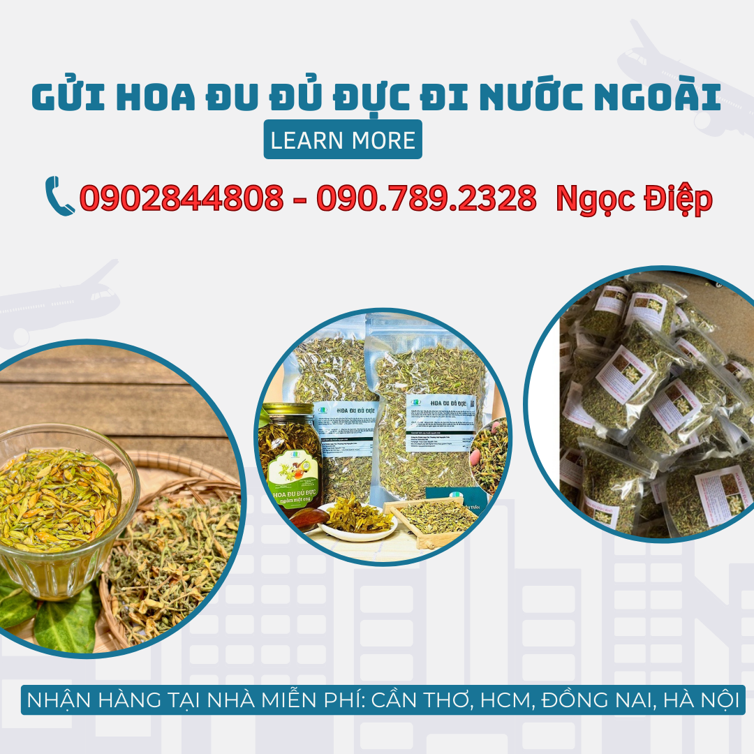 Những Tiêu Chí Đánh Giá Địa Chỉ Cung Cấp Thuốc Uy Tín Chuẩn Xác