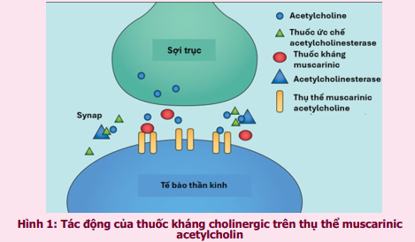 Kháng Thuốc An Thần Kinh và Các Tác Dụng Phụ Cần Lưu Ý