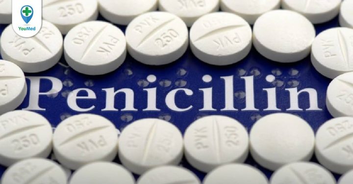 Nghiên cứu và sản xuất thuốc kháng sinh Penicillin trong ngành dược phẩm