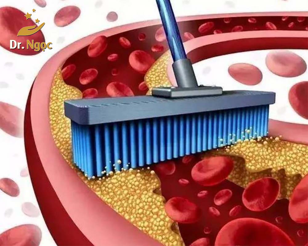 Bác Sỹ Vân Với Bài Thuốc Làm Sạch Động Mạch: Sự Thật Và Góc Nhìn Khoa Học