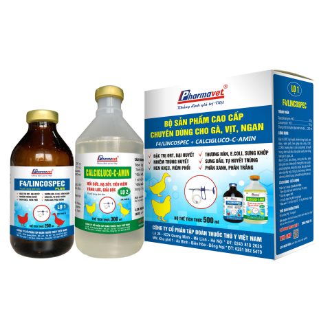 Quy Trình Bộ Y Tế Cấp Phép WHO-GMP Cho Thuốc Nhập Khẩu Chi Tiết