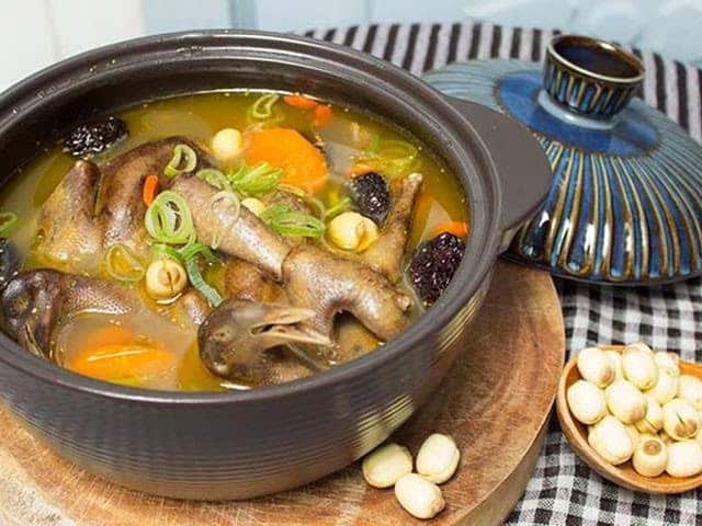 Bà Bầu Có Nên Ăn Bồ Câu Hầm Thuốc Bắc? Lợi Ích & Lưu Ý Quan Trọng