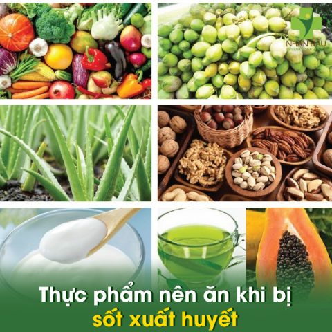 Biểu đồ hoặc hình ảnh minh họa các nhóm thực phẩm nên ăn khi bị sốt xuất huyết để phục hồi sức khỏe nhanh chóng.