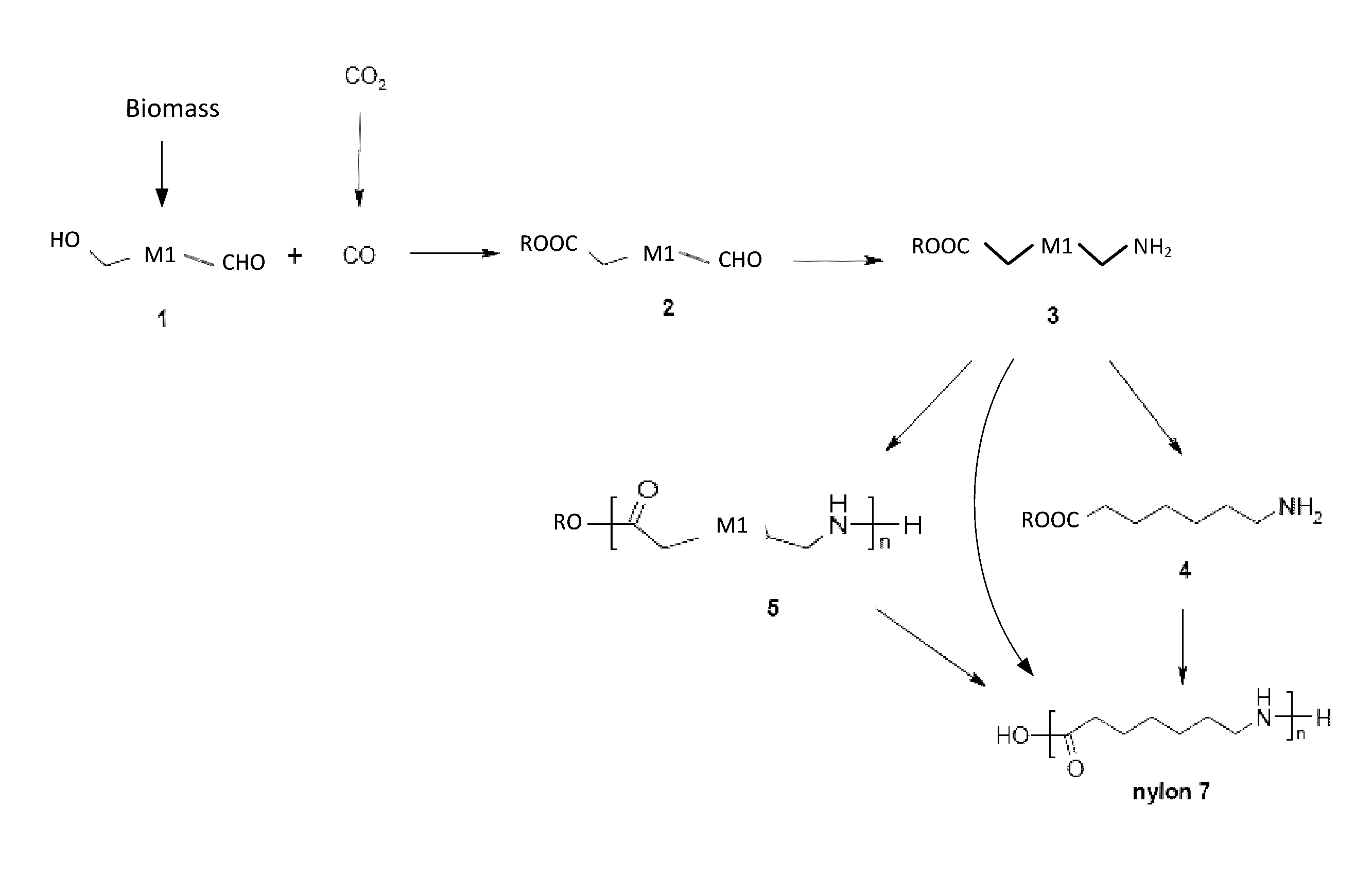 Nylon 7: Tổng Quan Chi Tiết Về Vật Liệu Đa Dụng Trong Y Tế
