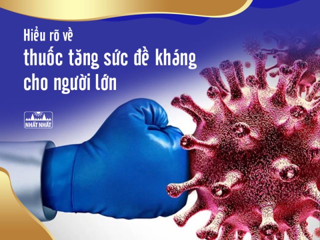 Giải đáp: Tại sao thuốc tăng sức đề kháng uống lúc 20h hiệu quả?