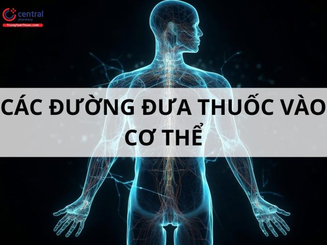 Sơ đồ minh họa các đường đưa thuốc vào cơ thể phổ biến